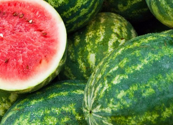 gallery/water melons