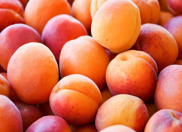 gallery/apricots