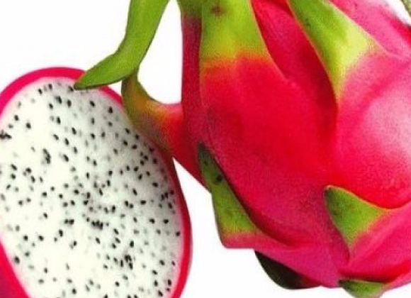 gallery/dragon fruits