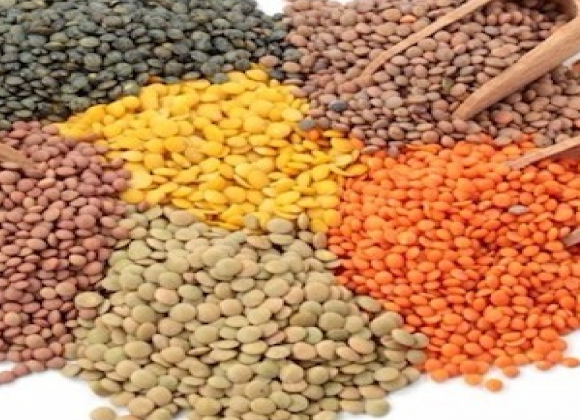 gallery/lentils